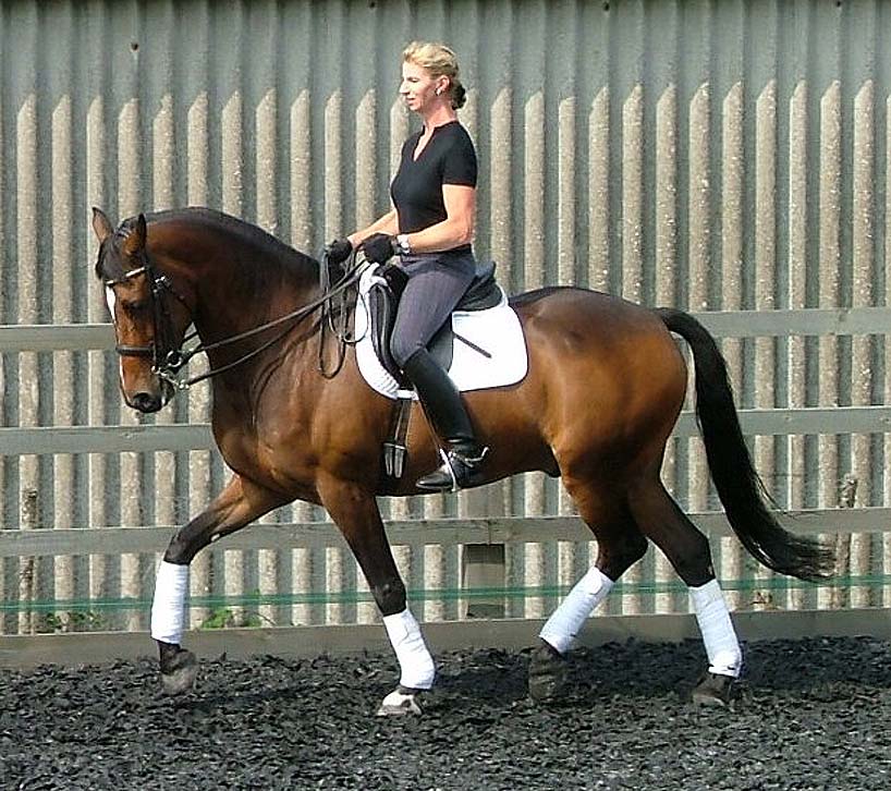 Paula Riding