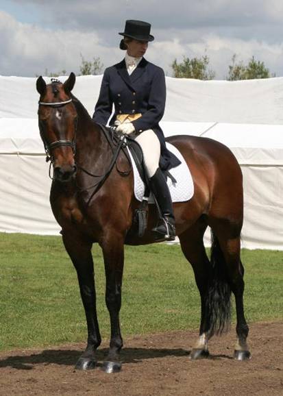 fie hickstead standing