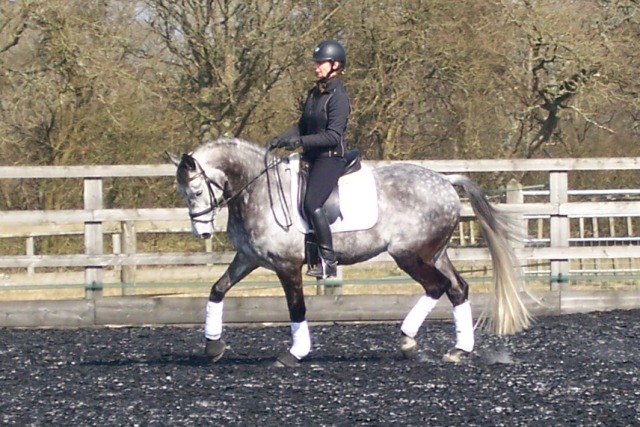 RB%20TROT%20B