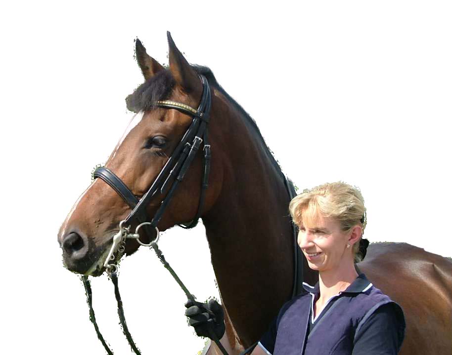 http://www.gemsbrookdressage.co.uk/pb%20copy.jpg